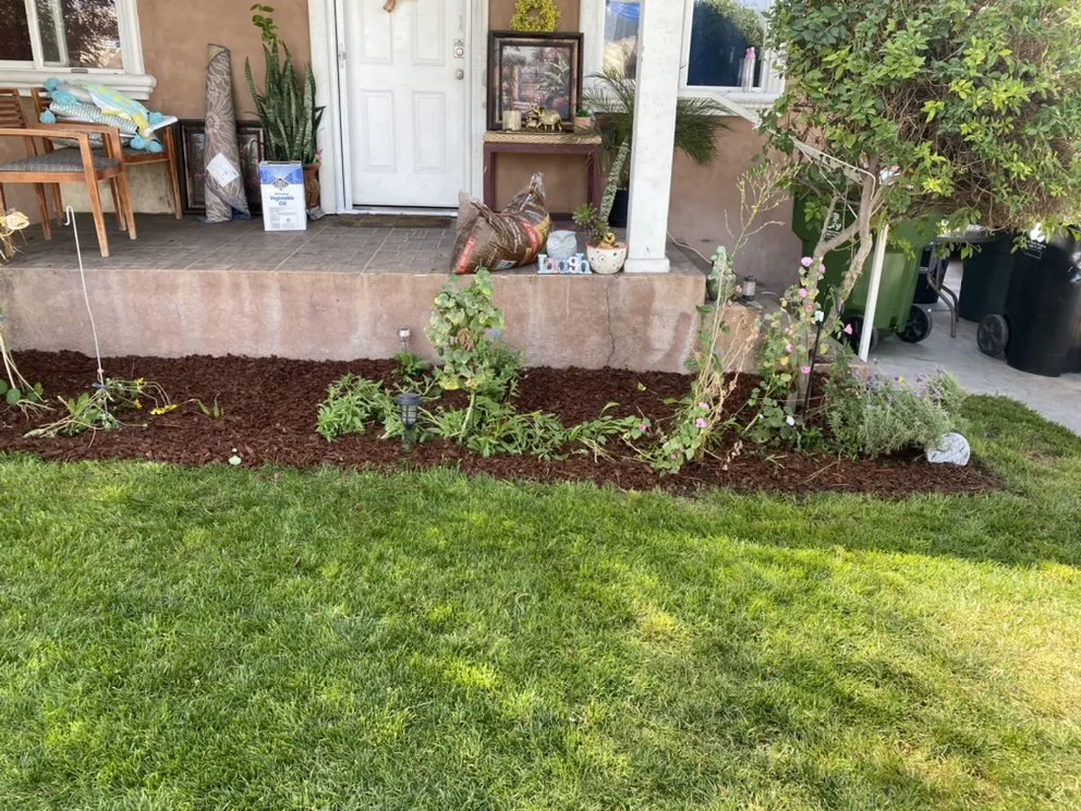 Top-rated residential landscaping with custom design in Los Angeles, CA by Lush Landscaping