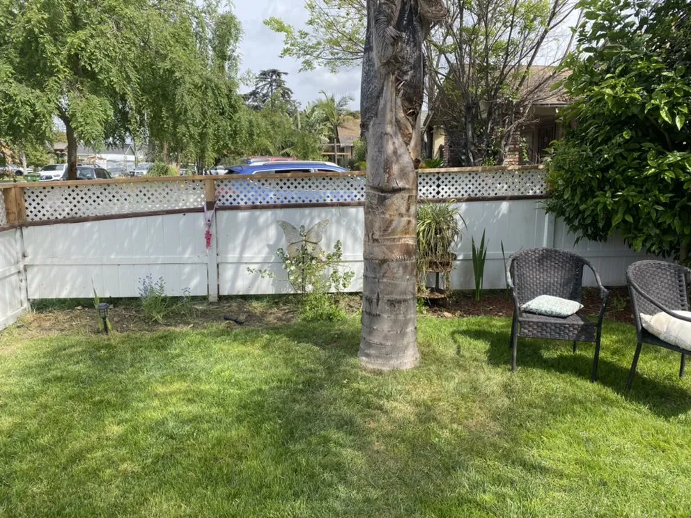 Top-rated yard cleanup service experts serving Los Angeles, CA - Lush Landscaping