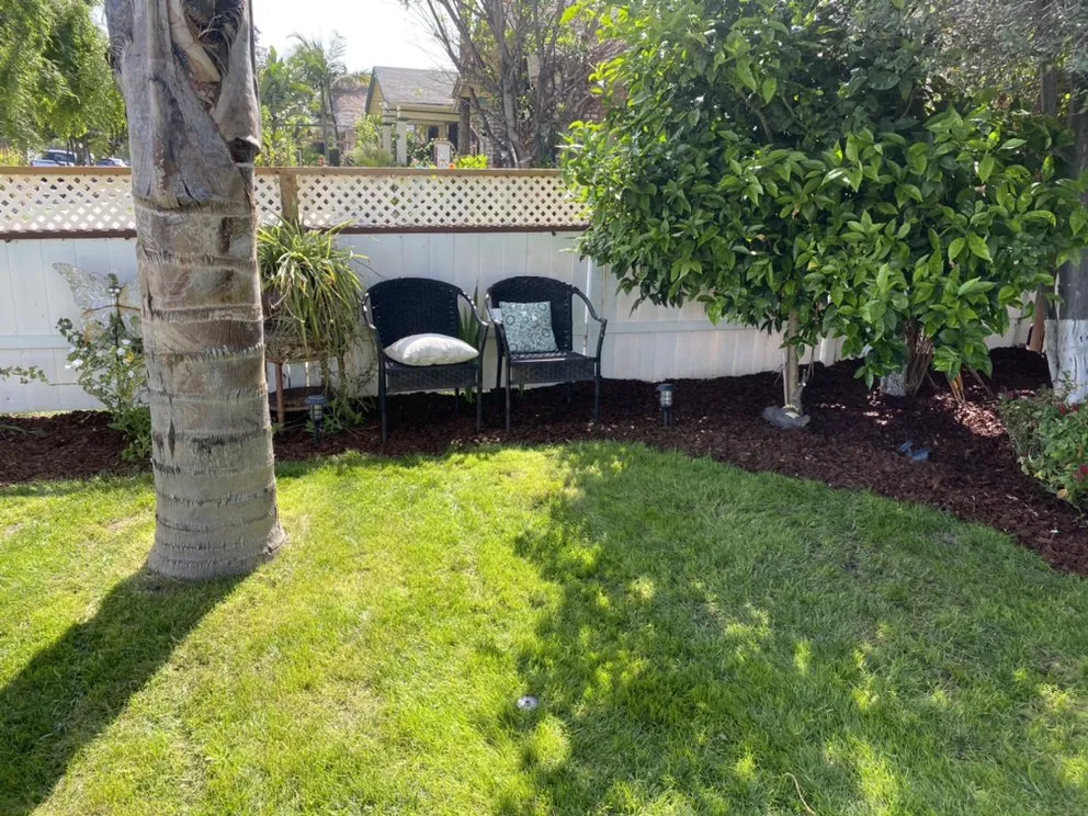 Professional lawn mowing service for outdoor upgrades in Los Angeles, CA by Lush Landscaping