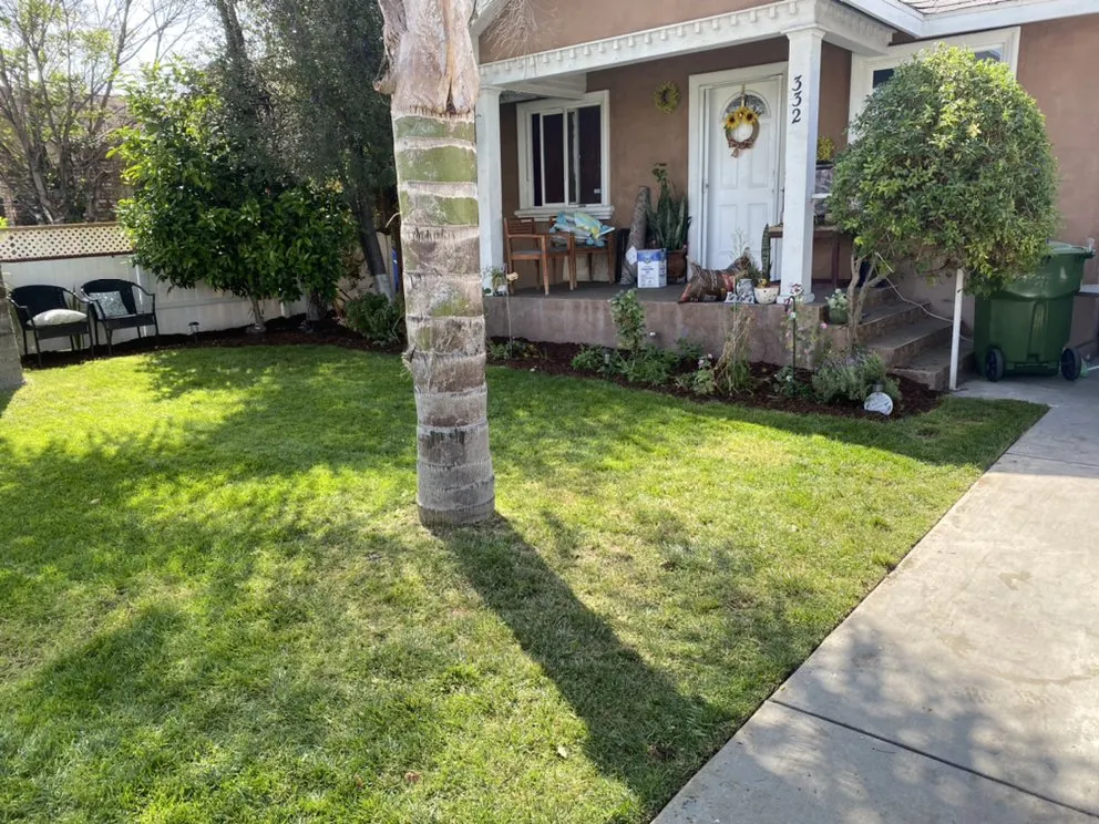 Top-rated landscape installation experts serving Los Angeles, CA - Lush Landscaping