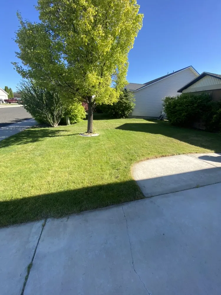 Expert yard cleanup service for year-round maintenance in Twin Falls, ID by Lush Landscaping