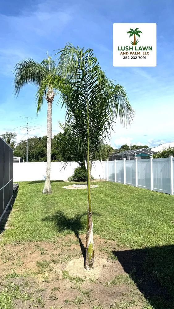 Trusted lawn care service for beautiful yards in Spring Hill, FL by Lush Lawn and Palm