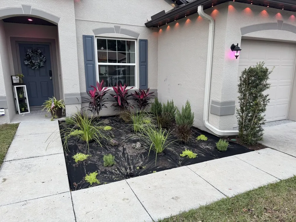Professional outdoor landscaping for year-round maintenance across Spring Hill, FL - Lush Lawn and Palm