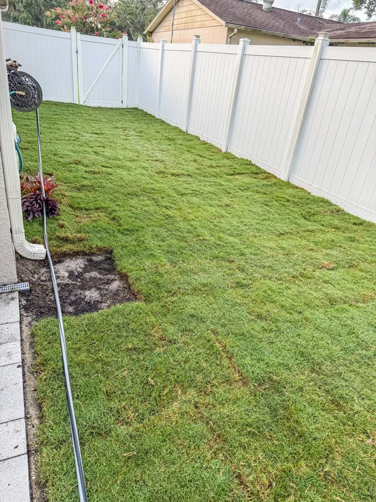 Affordable outdoor landscaping experts serving Spring Hill, FL - Lush Lawn and Palm