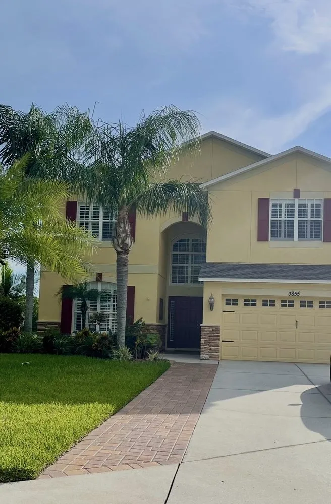 Local garden landscaping in Spring Hill, FL - Lush Lawn and Palm