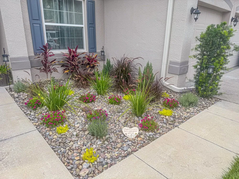 Local landscape installation in Spring Hill, FL - Lush Lawn and Palm