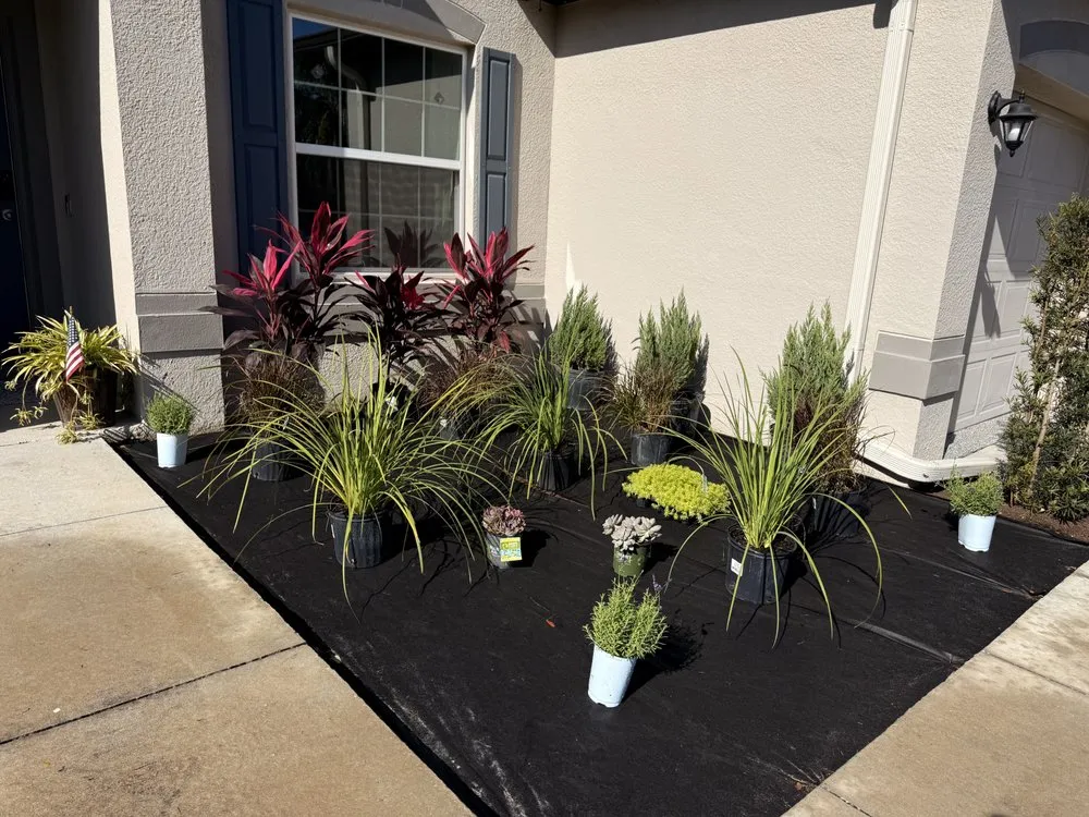 Local yard maintenance in Spring Hill, FL by Lush Lawn and Palm