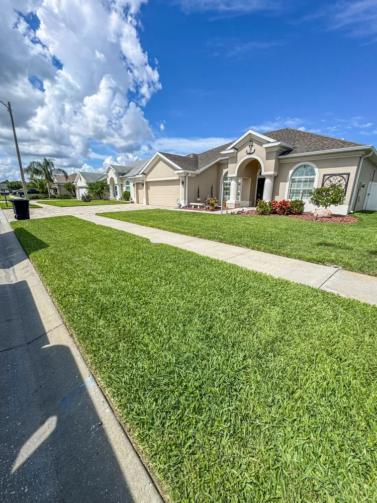 Professional landscape design experts serving Spring Hill, FL - Lush Lawn and Palm