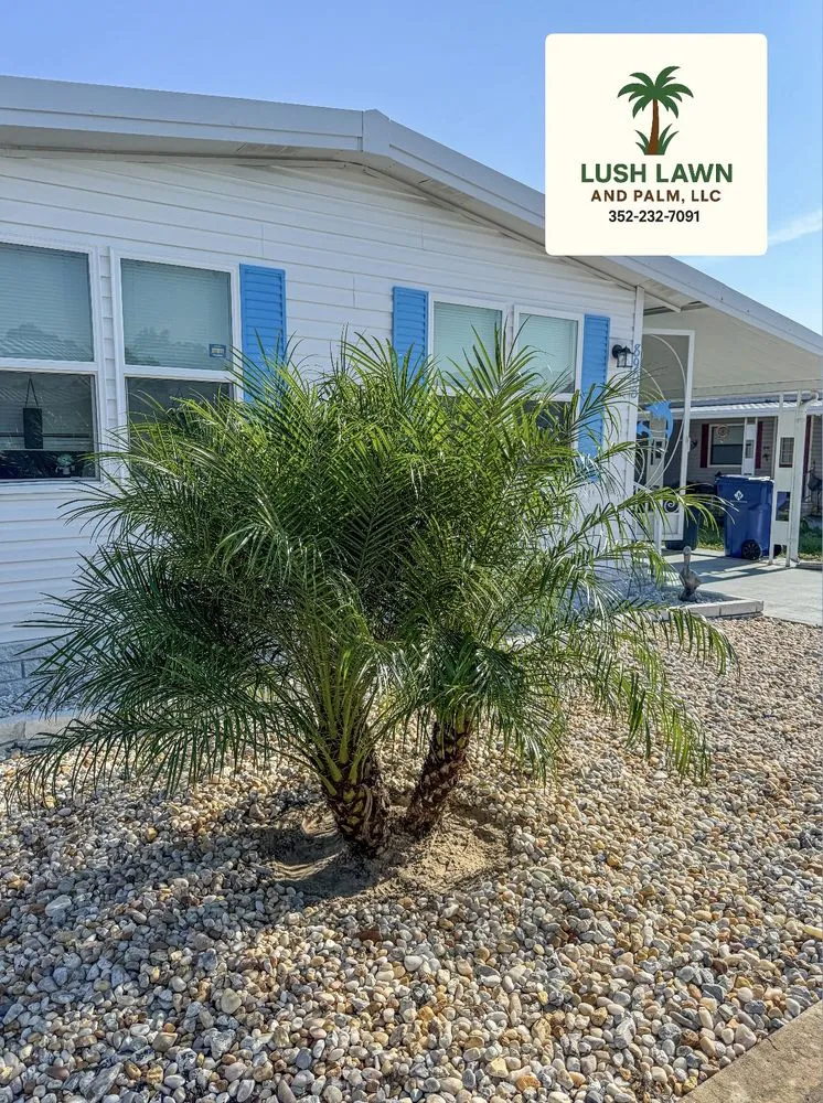 Local lawn mowing service near you across Spring Hill, FL - Lush Lawn and Palm