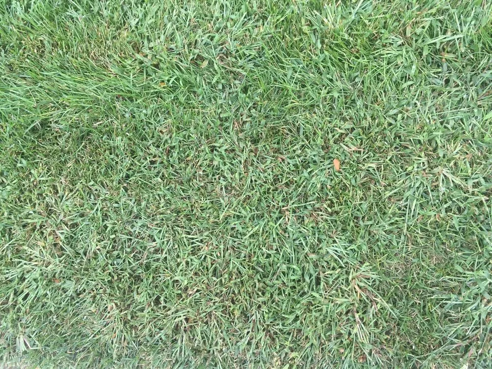 Professional landscaping services for residential properties in Brighton, MI by Lush Lawn