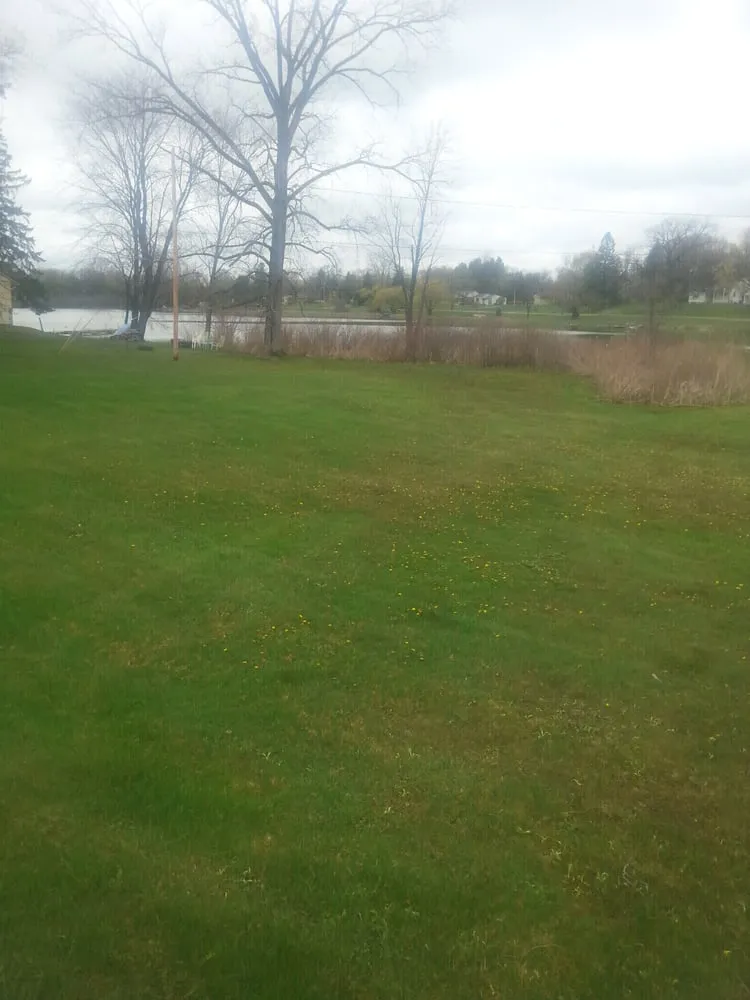 Affordable yard cleanup service for outdoor upgrades across Brighton, MI - Lush Lawn