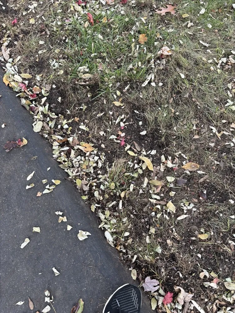 Affordable garden landscaping in Brighton, MI - Lush Lawn