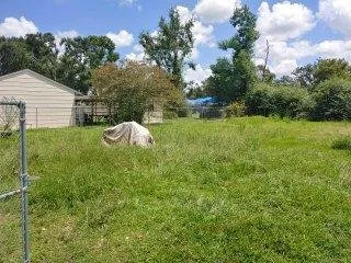 Top-rated lawn care service near you across Lake Charles, LA - Lush Lawn Care