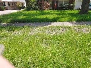Local lawn mowing service for beautiful yards in Lake Charles, LA by Lush Lawn Care