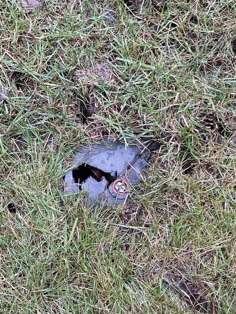 Trusted lawn mowing service for beautiful yards across Grand Blanc, MI - Lush Lawn