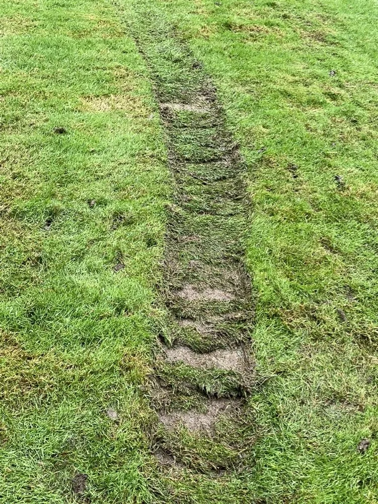 Professional lawn mowing service experts serving Grand Blanc, MI - Lush Lawn