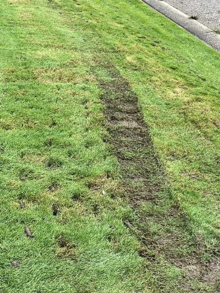 Affordable landscaping services in Grand Blanc, MI - Lush Lawn