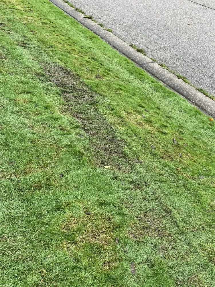 Top-rated lawn care service experts serving Grand Blanc, MI - Lush Lawn