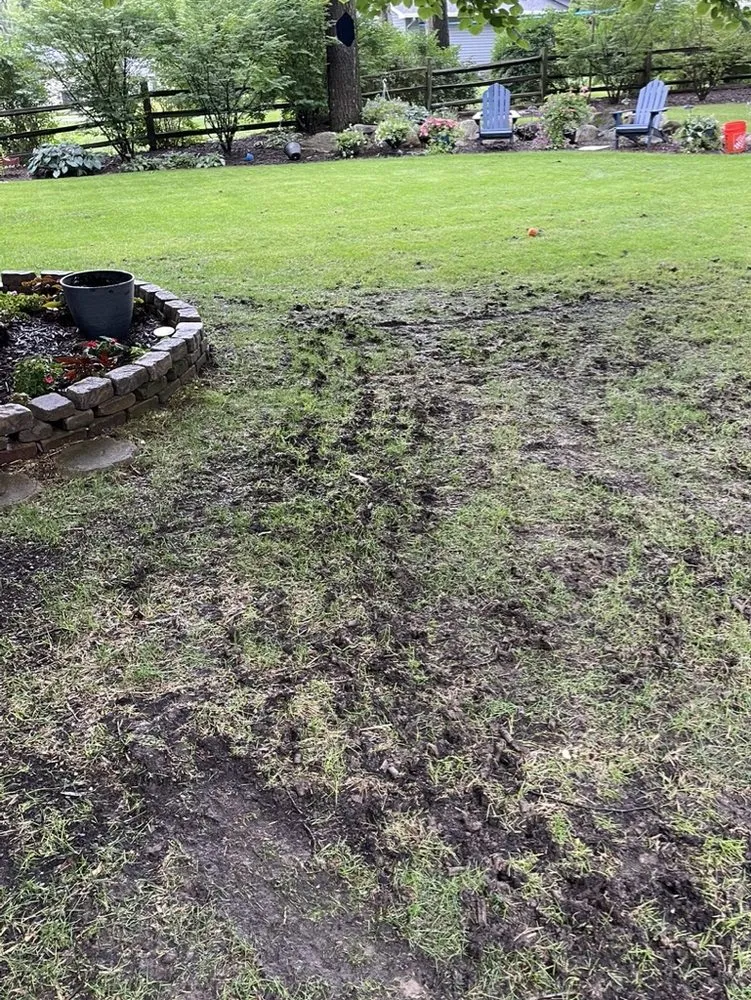 Affordable residential landscaping experts serving Grand Blanc, MI - Lush Lawn