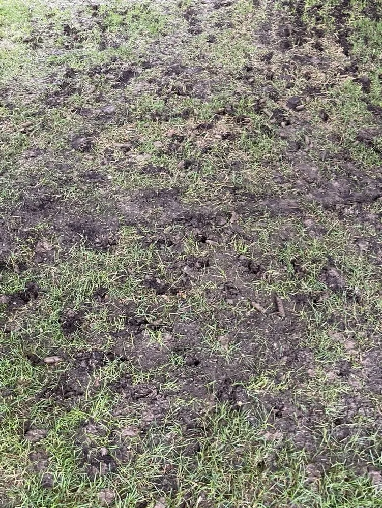 Top-rated lawn care service in Grand Blanc, MI - Lush Lawn