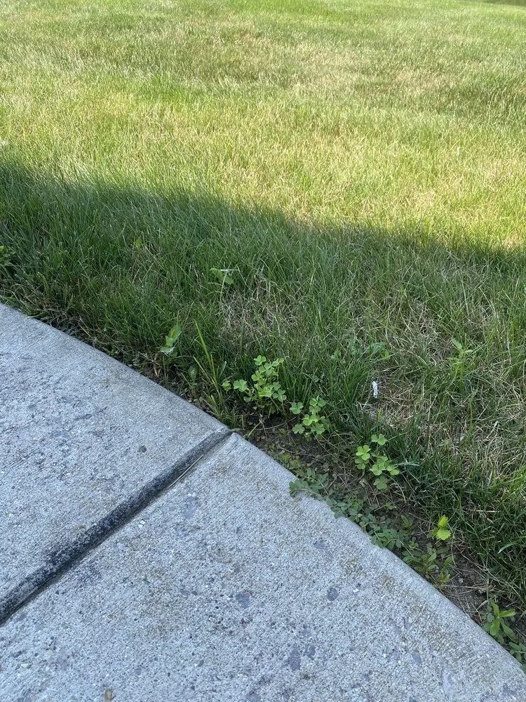 Trusted yard cleanup service for outdoor upgrades in Grand Blanc, MI by Lush Lawn