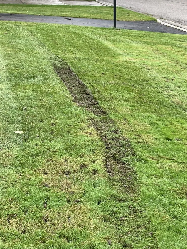 Reliable yard maintenance experts serving Grand Blanc, MI - Lush Lawn