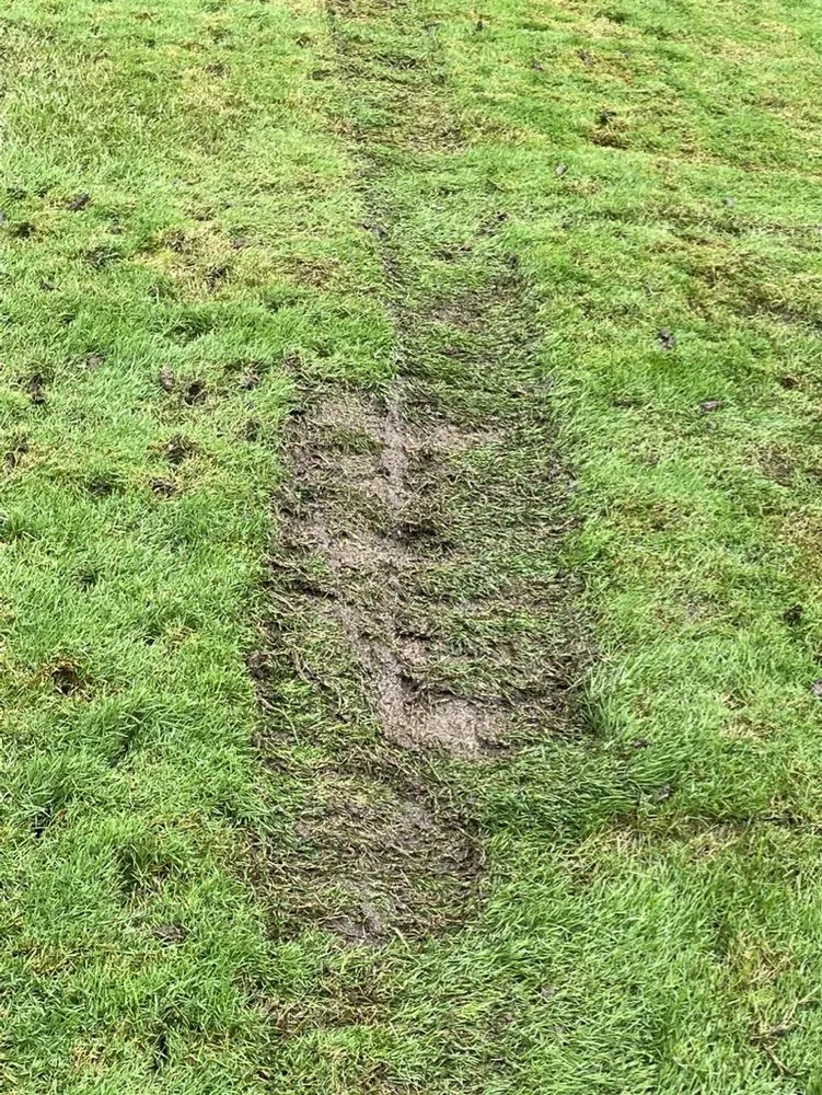 Trusted lawn care service with custom design across Grand Blanc, MI - Lush Lawn