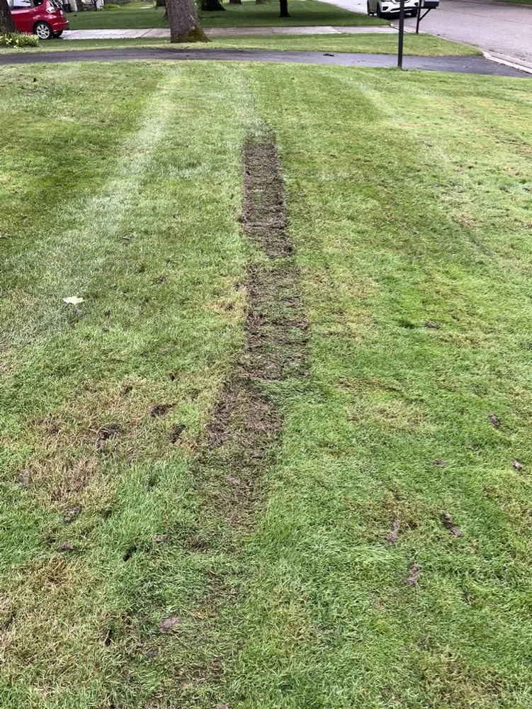 Trusted lawn care service in Grand Blanc, MI - Lush Lawn