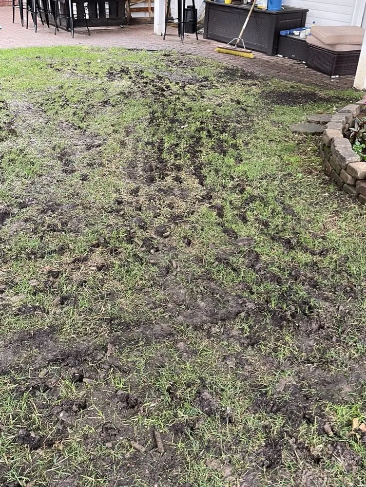 Affordable landscape installation for homes across Grand Blanc, MI - Lush Lawn