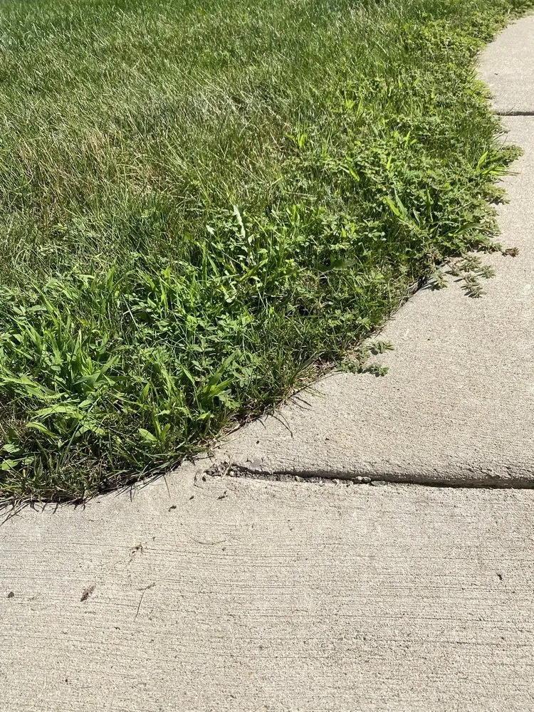 Trusted lawn mowing service for outdoor upgrades in Grand Blanc, MI by Lush Lawn
