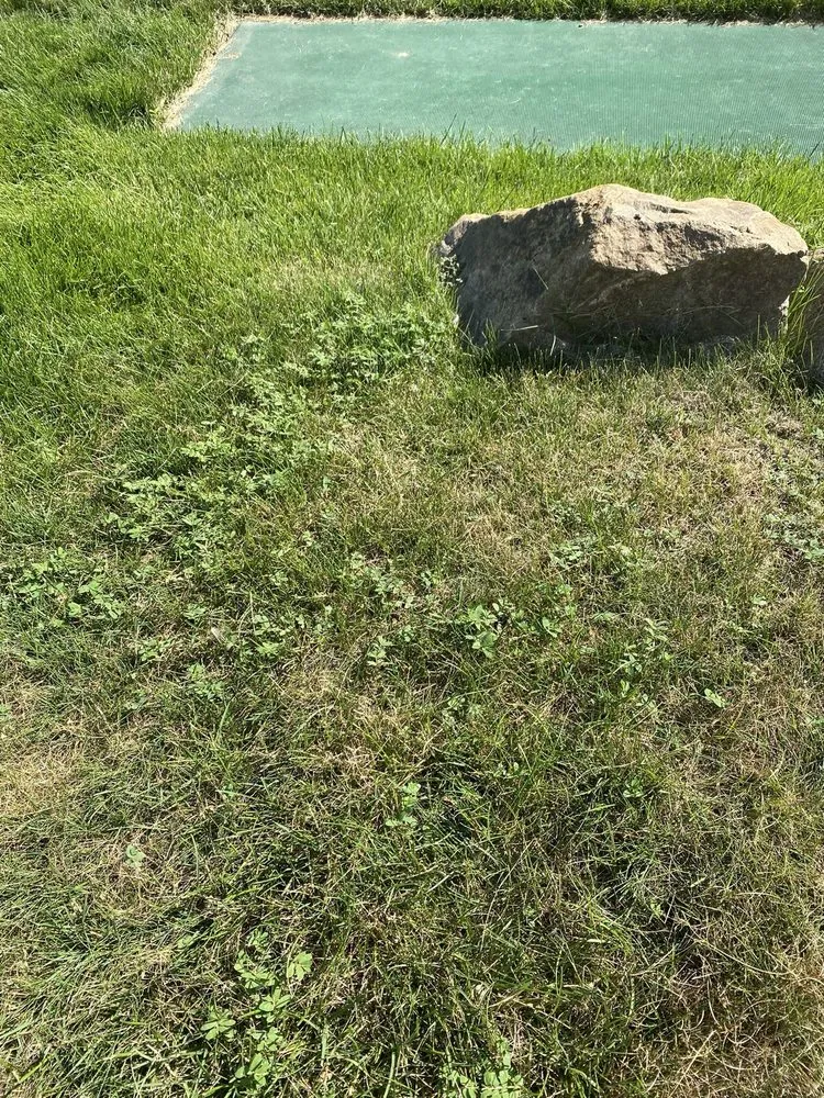 Affordable outdoor landscaping for outdoor upgrades across Grand Blanc, MI - Lush Lawn