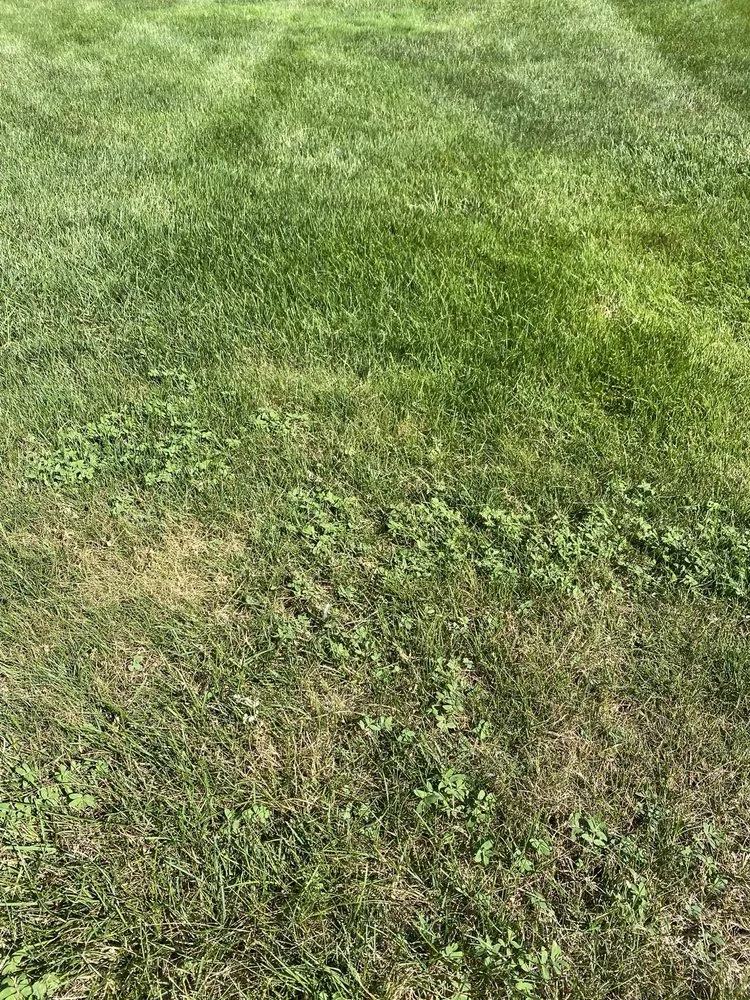 Trusted garden landscaping in Grand Blanc, MI - Lush Lawn