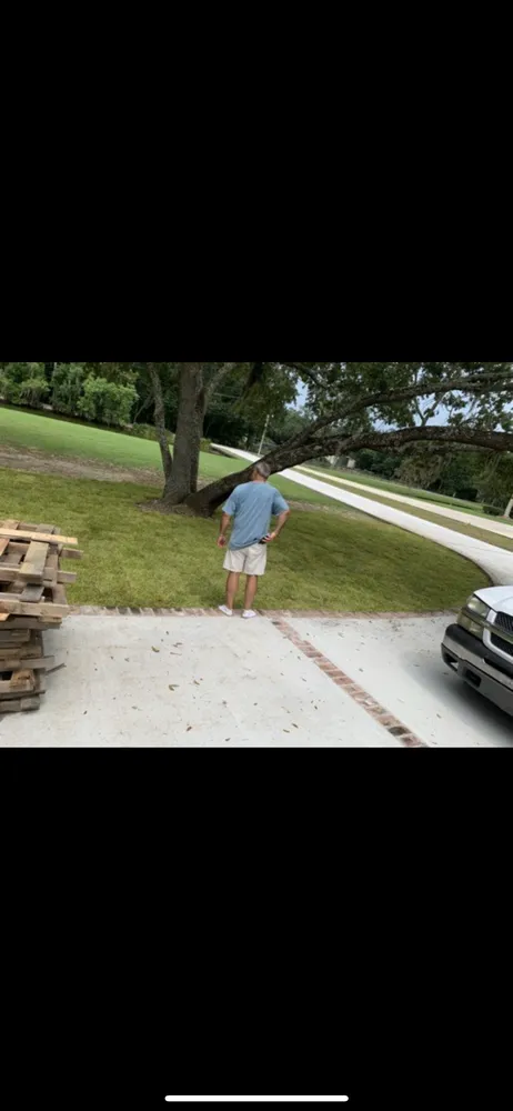 Affordable landscaping services for outdoor upgrades across Pierre Part, LA - Lush Lawn Logistics