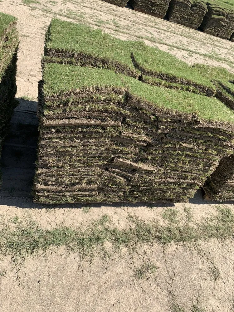 Top-rated yard maintenance near you across Pierre Part, LA - Lush Lawn Logistics