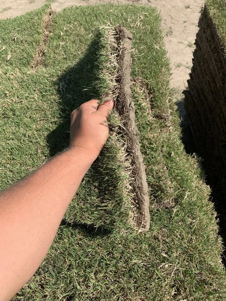 Expert landscaping services experts serving Pierre Part, LA - Lush Lawn Logistics