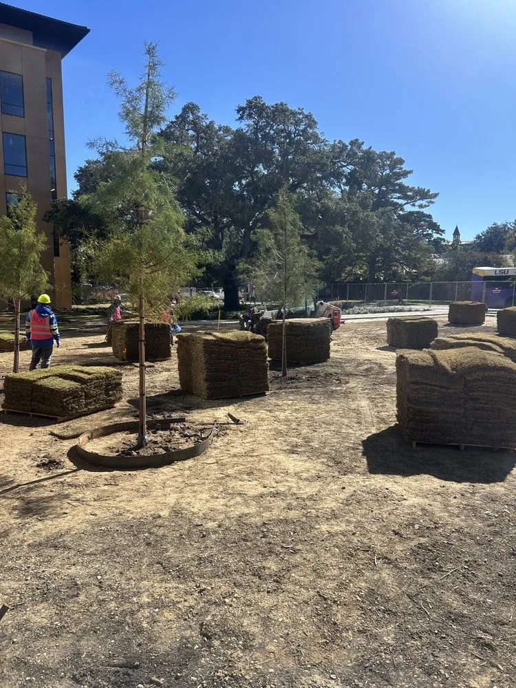 Top-rated lawn care service in Pierre Part, LA - Lush Lawn Logistics