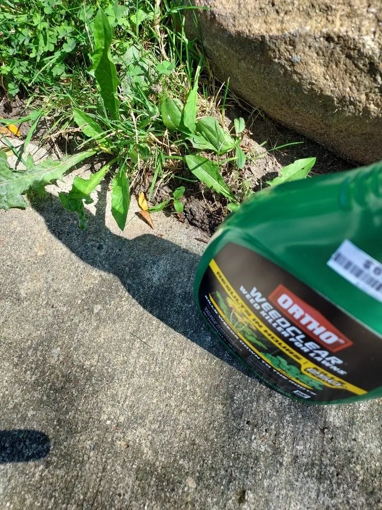 Expert yard cleanup service experts serving Rochester Hills, MI - Lush Lawn