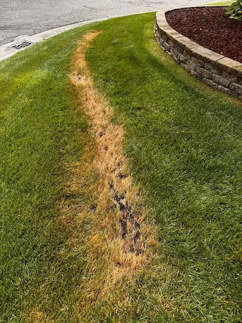 Trusted outdoor landscaping in Rochester Hills, MI - Lush Lawn