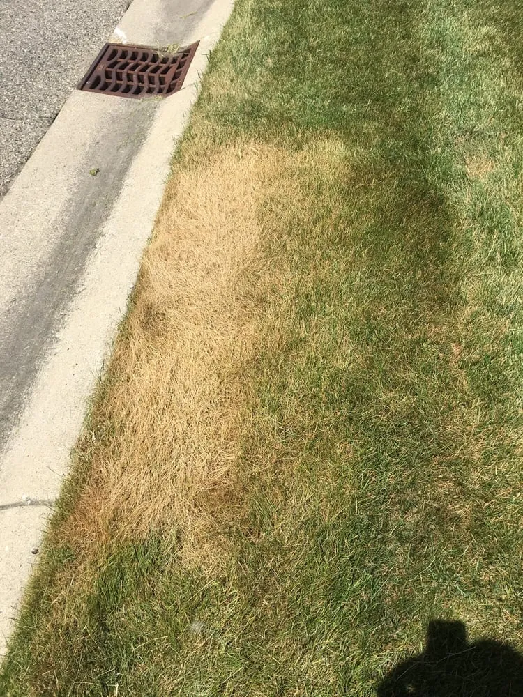 Trusted outdoor landscaping for beautiful yards in Rochester Hills, MI by Lush Lawn