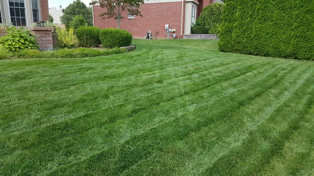 Professional yard maintenance with custom design in Rochester Hills, MI by Lush Lawn