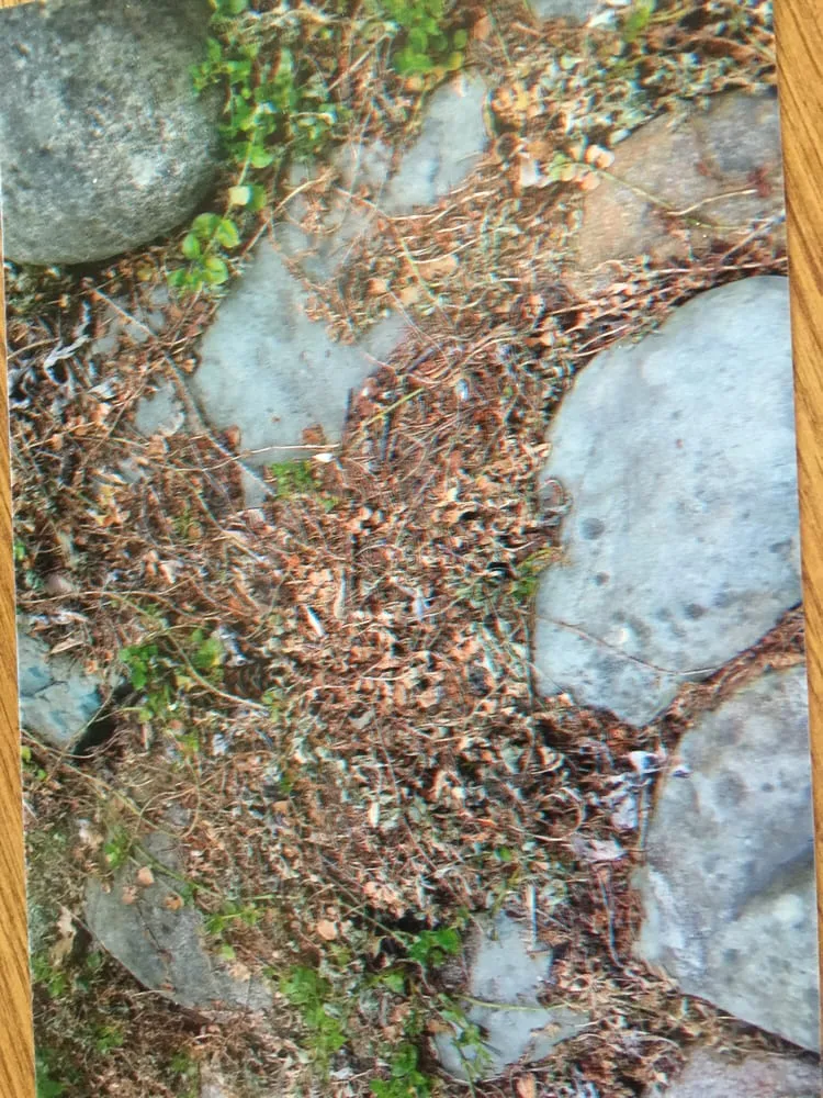 Custom garden landscaping for residential properties across Rochester Hills, MI - Lush Lawn