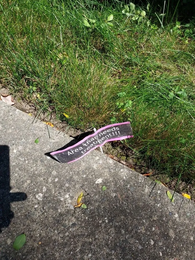 Expert garden landscaping for homes in Rochester Hills, MI by Lush Lawn