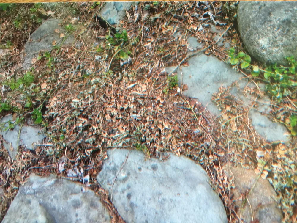 Trusted garden landscaping near you in Rochester Hills, MI by Lush Lawn