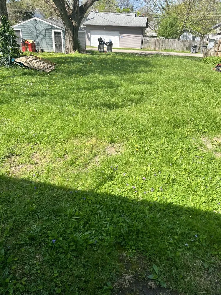 Custom landscape installation for year-round maintenance across Indianapolis, IN - Lush Lawn Services