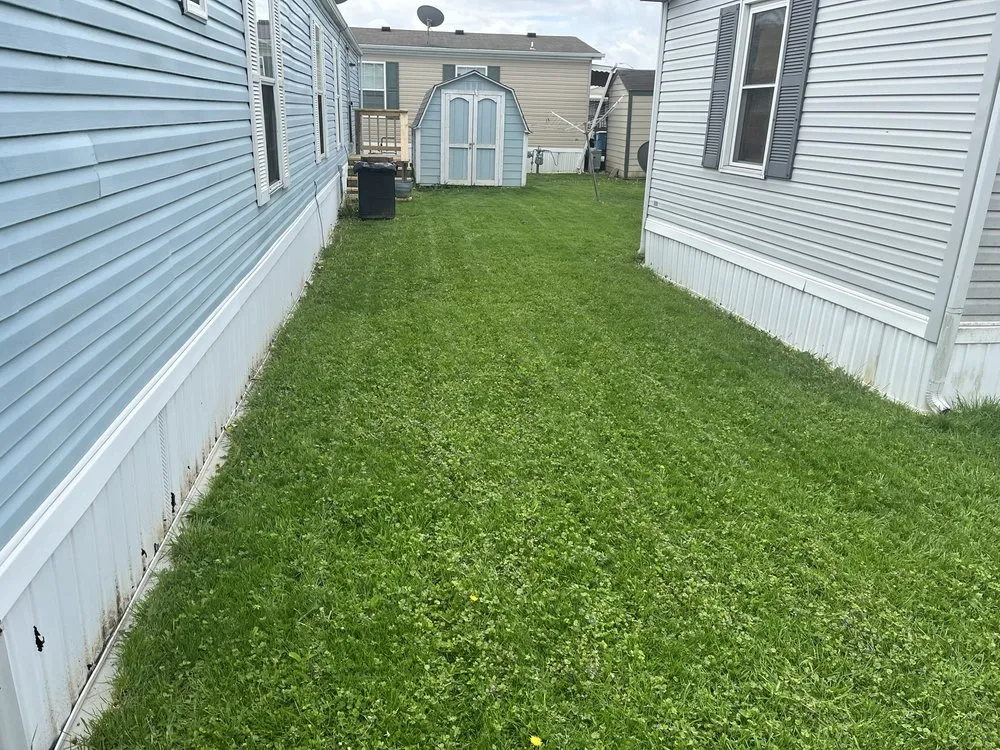 Trusted landscape installation with custom design in Indianapolis, IN by Lush Lawn Services