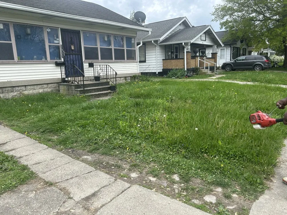 Local landscaping services in Indianapolis, IN - Lush Lawn Services