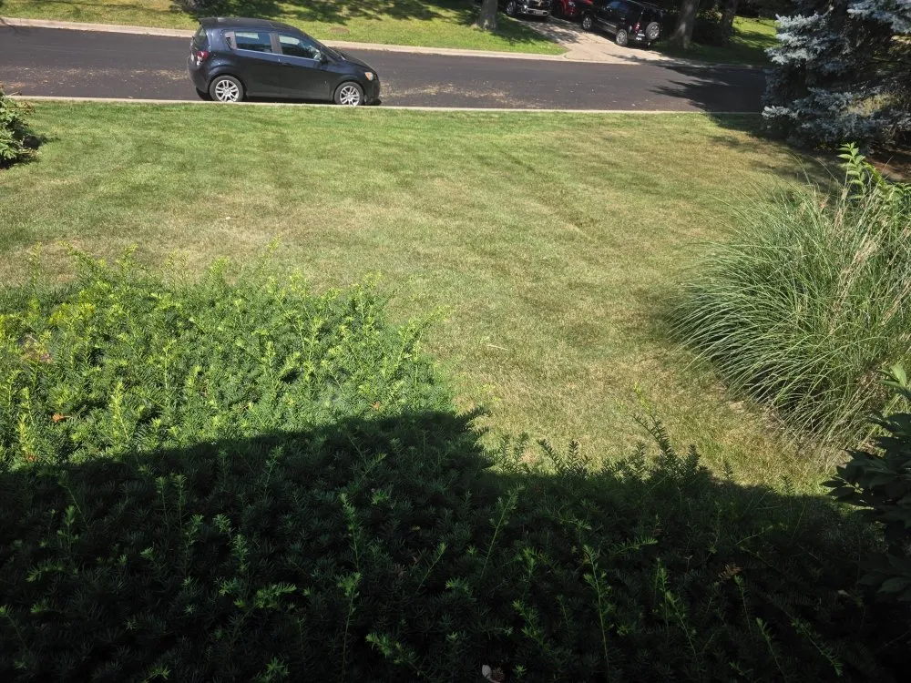 Top-rated garden landscaping in DeKalb, IL by Lush Lawn Solution