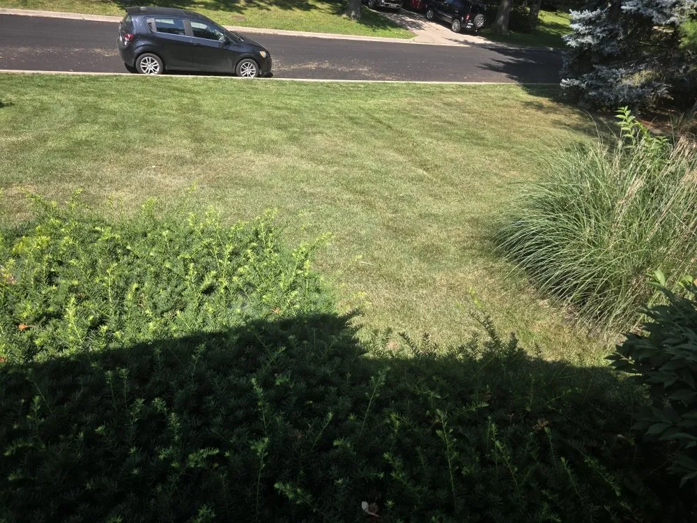 Expert landscaping services in DeKalb, IL by Lush Lawn Solution