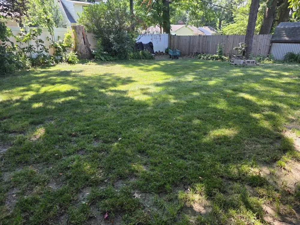 Trusted landscaping services in DeKalb, IL by Lush Lawn Solution