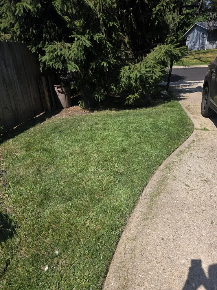 Professional outdoor landscaping in DeKalb, IL - Lush Lawn Solution